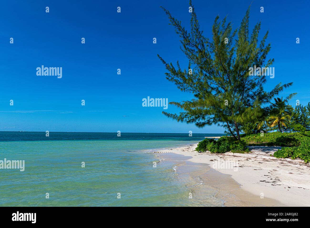 Weißer Sandstrand, Water Cay, Grand Cayman, Cayman Islands, Karibik, Mittelamerika Stockfoto