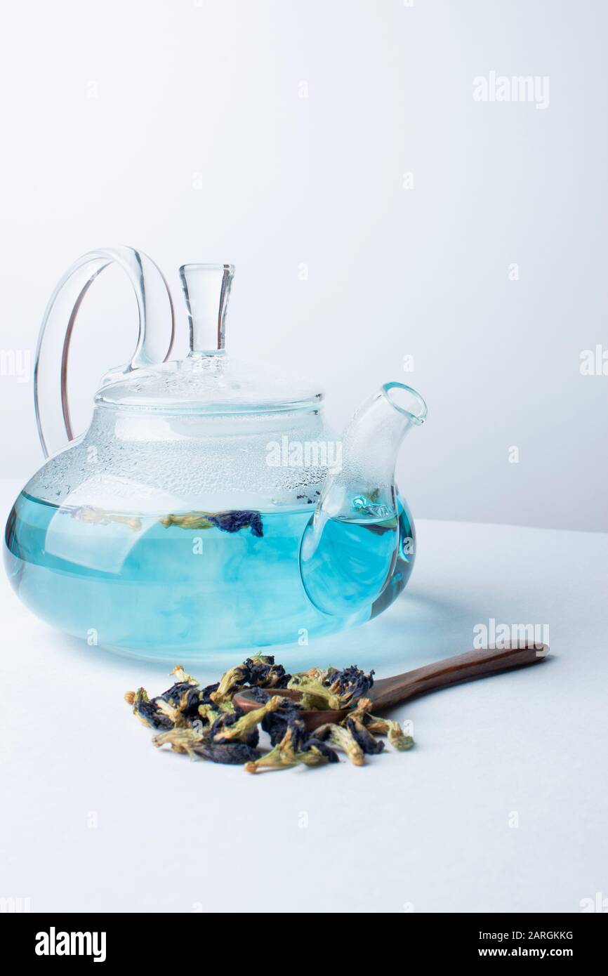 Blauer Kräuterblumen-Tee mit Schmetterlingsblume in einer Glas-Teekanne auf weißem Hintergrund. Neben der Teekanne stehen trockene Blütenhüllblätter. Harte Schatten. Minimalismus Stockfoto