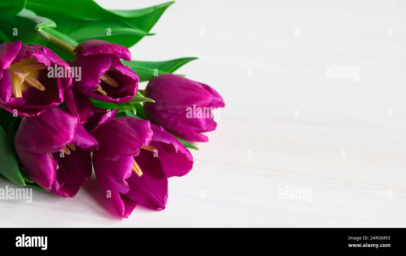 Blumenstrauß aus violetten Tulpen auf einem weißen Holztisch Stockfoto