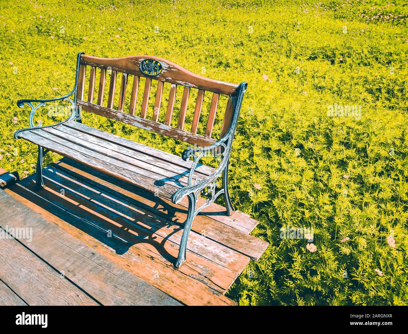 Alte rustikale Vintage Holzbank im Sommer Kosmos Blumen Feldhintergrund. Verbringen Sie Zeit unter der Natur auf der Idee des Urlaubskonzepts Stockfoto