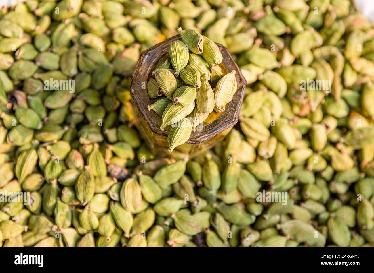 Cardamon Samen zum Verkauf auf dem Straßenmarkt in Paharganj, dem städtischen Vorort gegenüber dem Bahnhof Neu-Delhi Stockfoto