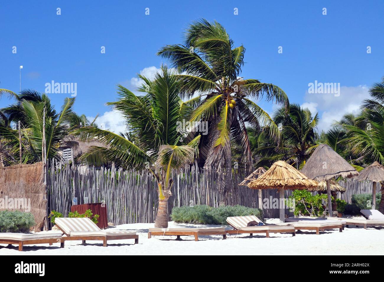 Eine Szene am Strand mit Doppel-Lounge-Stühlen und Palmen. Ein Bambuszaun und Reetdachschirme. Stockfoto