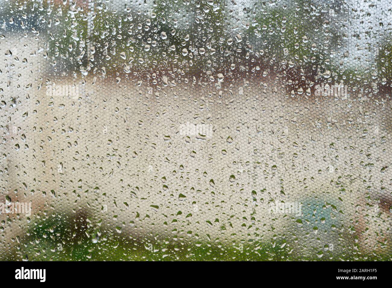 Regenwetter Fenster mit Regentropfen und Insektengitter Stockfoto