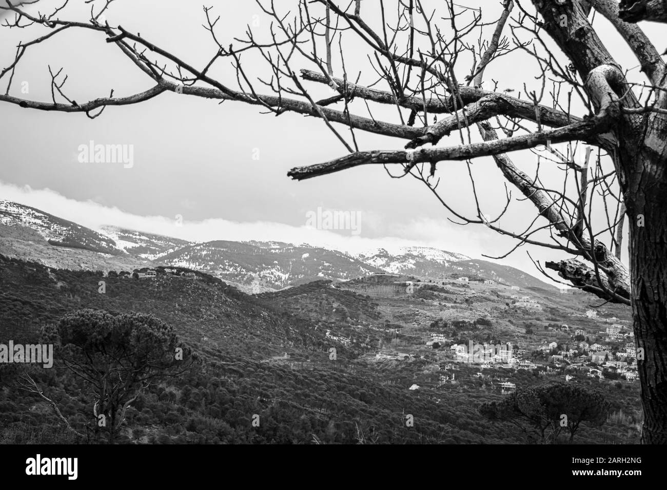Die Berge des Libanon waren einst von dicken Zedernwäldern beschattet und Baum ist das Symbol des Landes. Schöne Landschaft der bergigen Stadt im Winter Stockfoto