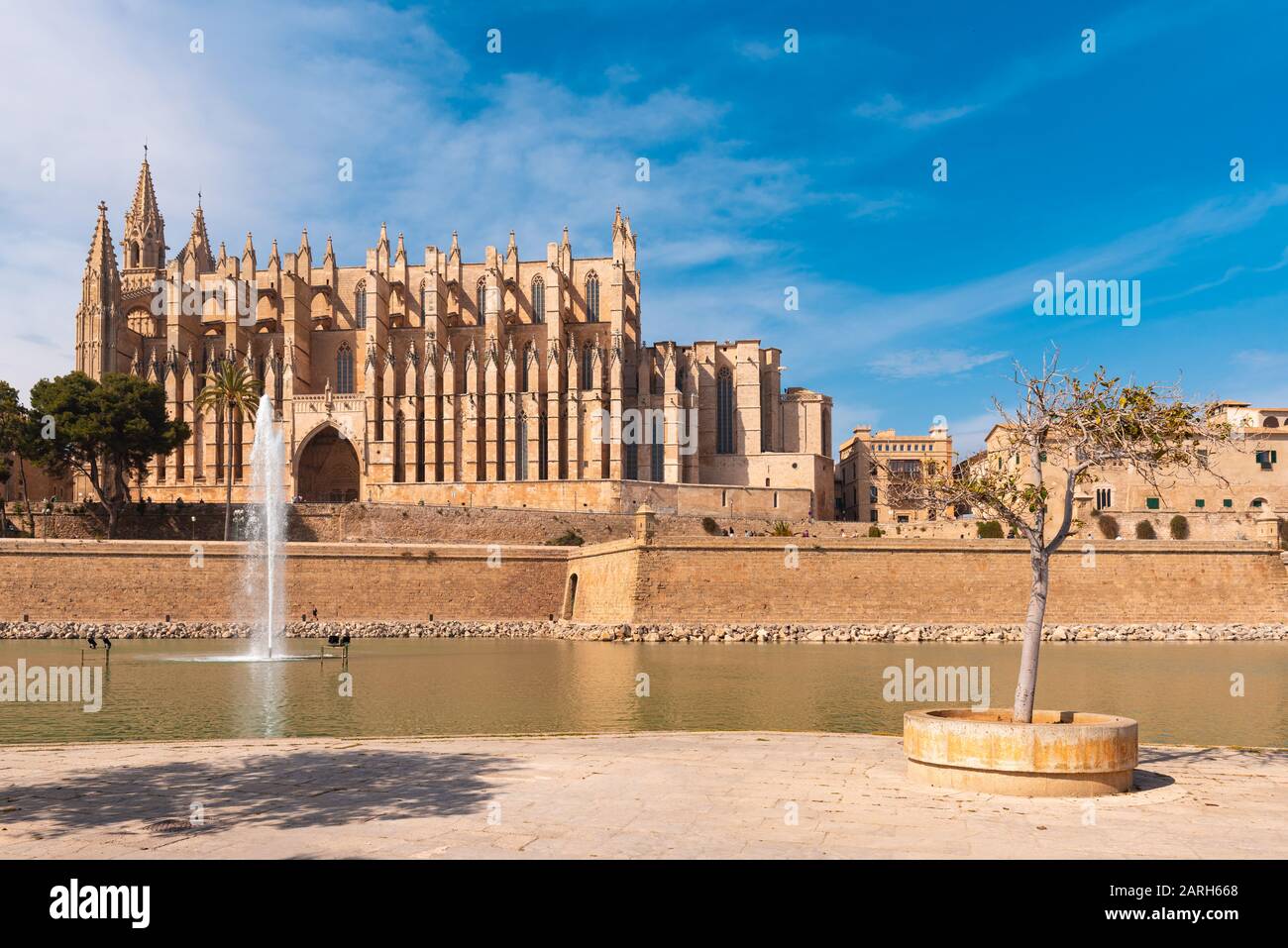Promenade mit Blick auf La Seu, die gothische Kathedrale von Santa María de Palma de Mallorca. Spanien Stockfoto