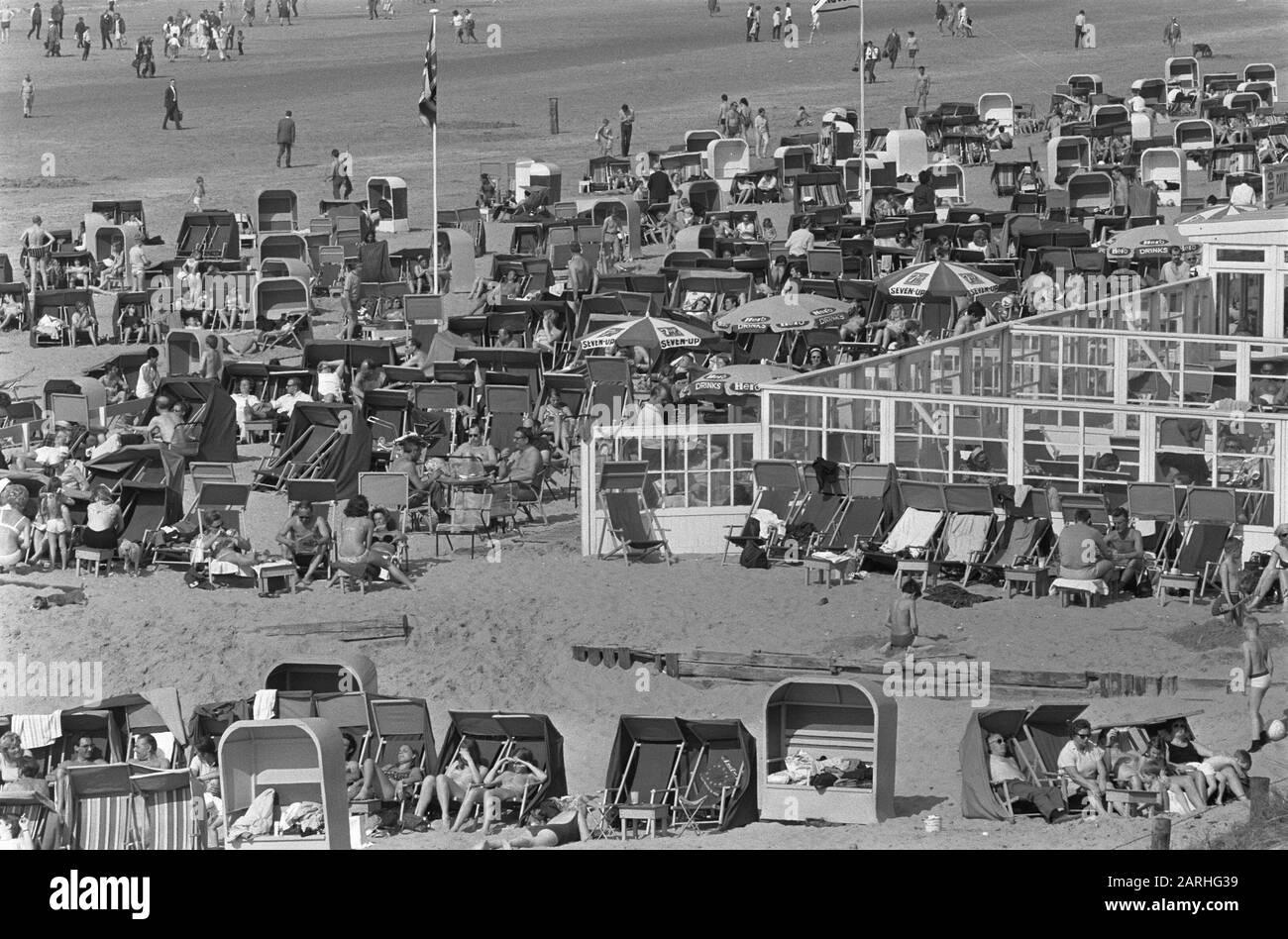 Sonnenanbeter am Strand Zandvoort Camping, Strand mit Stühlen Datum: 7.  april 1969 Ort: Noord-Holland, Zandvoort Schlüsselwörter: Campingplätze,  Strände Stockfotografie - Alamy