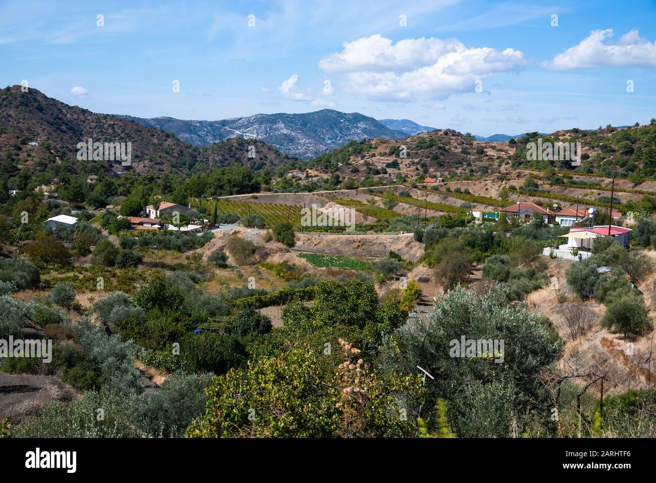 Tal mit Olivenbäumen und ländlichen Häusern. Zypern Stockfoto