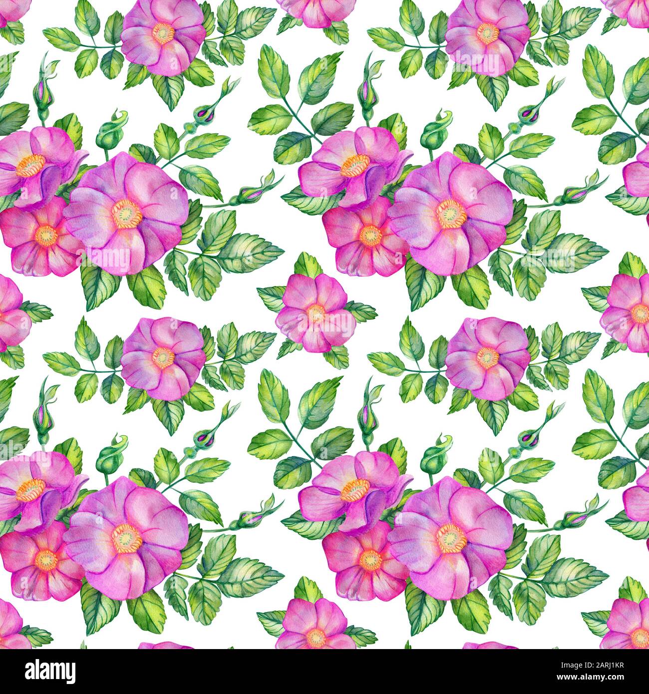 Nahtloses Wasserfarbenmuster mit Rosettenhüften. Rosa Blumen, Blätter, Knospen, Blumensträuße auf weißem Grund. Frühlings-Design für Hochzeitseinladungen. Rosa ca Stockfoto