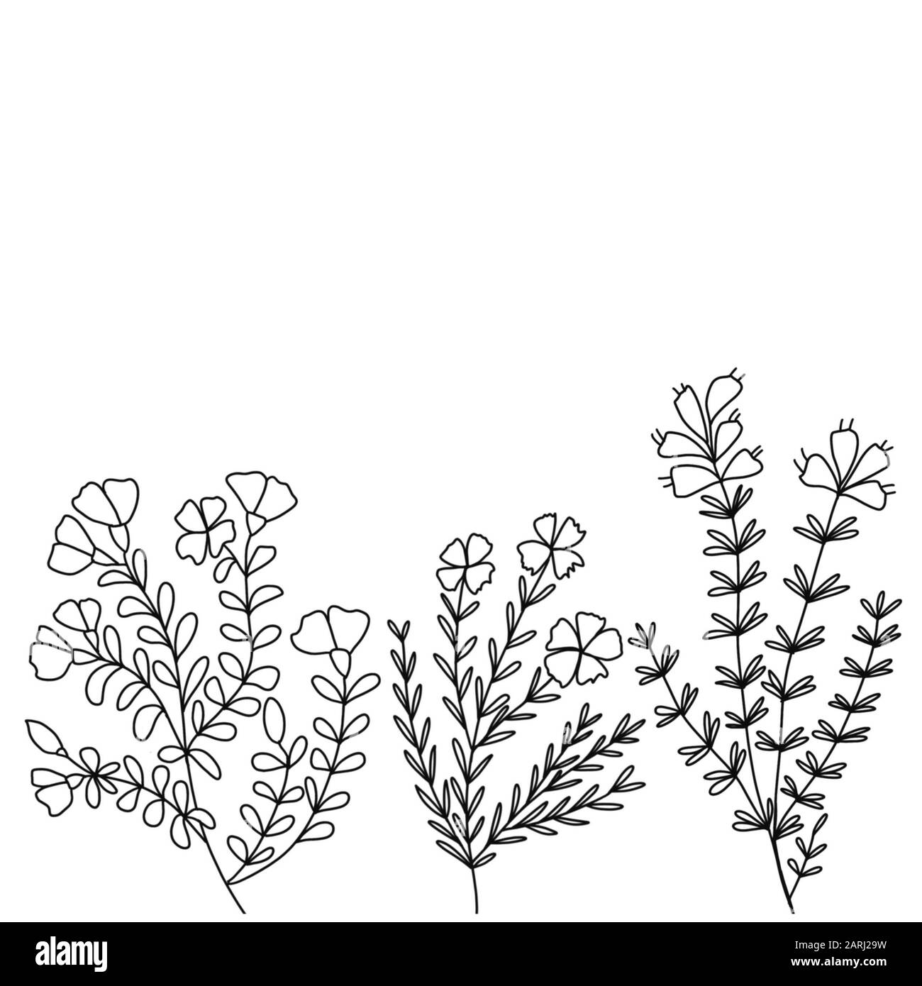 Schwarz-Weiß-Bild von Wiesenblumen und Zweigen Stockfoto