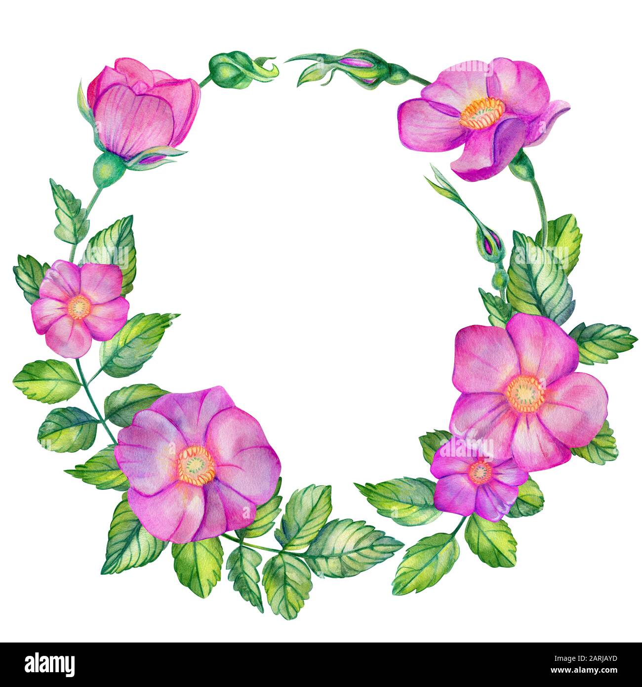 Aquarellkranz mit wilder Rose. Rosa Blumen, Blätter, Knospen und Blumenstrauß isoliert auf weißem Hintergrund mit Platz für Text. Handgezeichnete Hochzeitskarten de Stockfoto