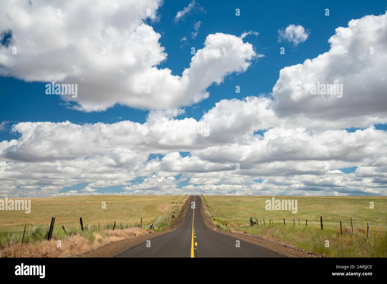 Highway 206 zwischen Condon und Hepner, Oregon. Stockfoto