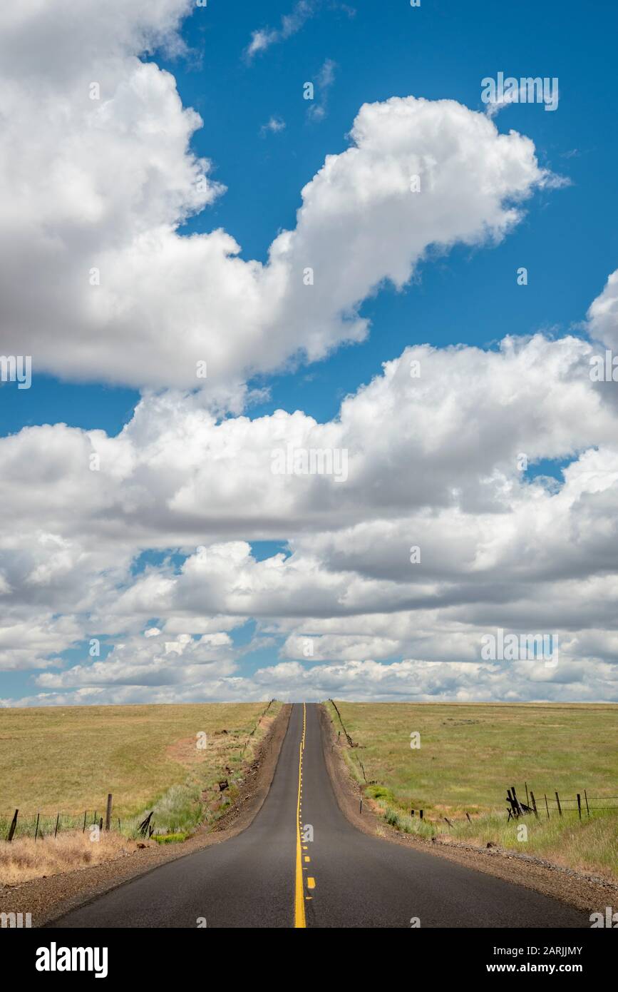 Highway 206 zwischen Condon und Hepner, Oregon. Stockfoto