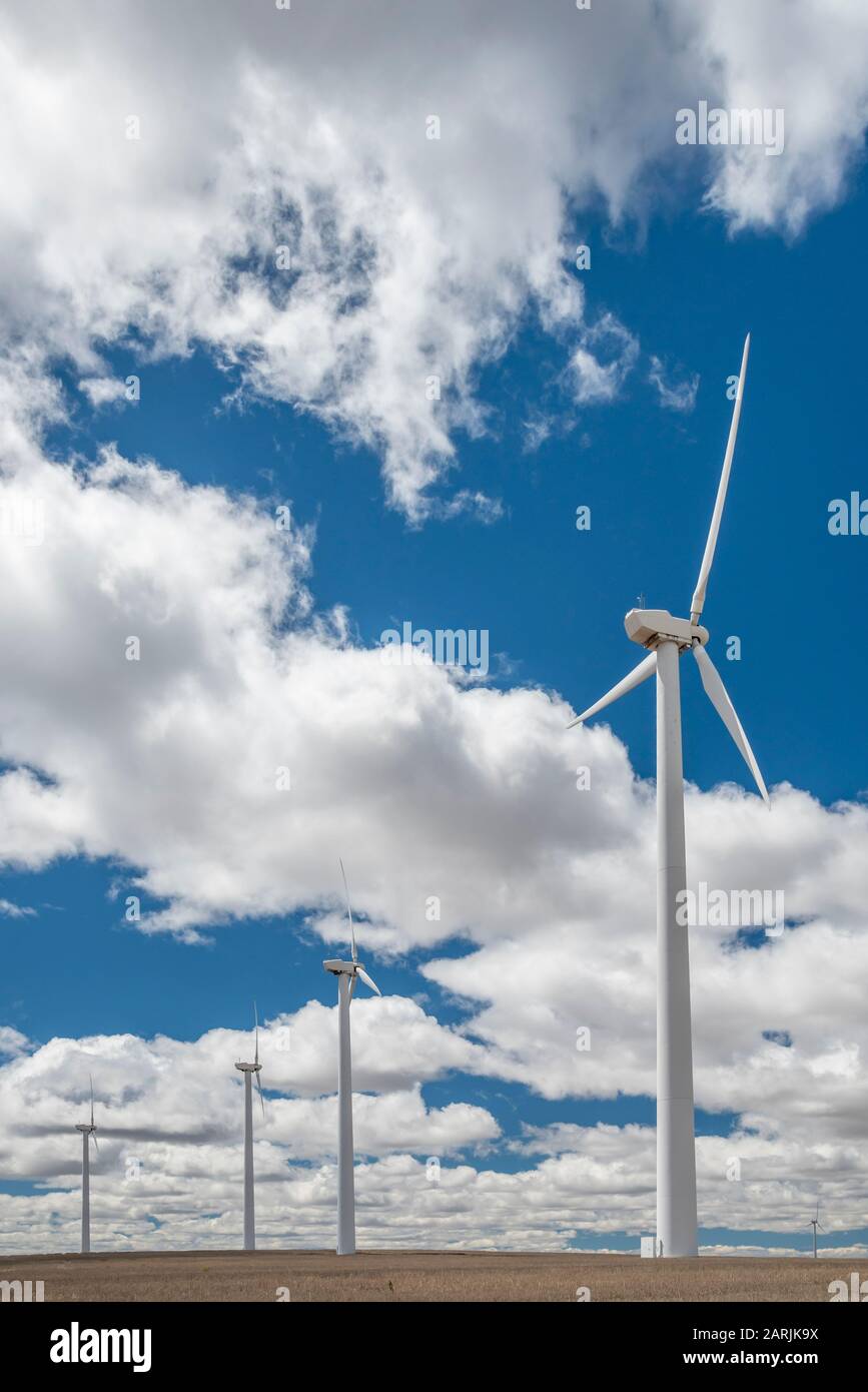 Stromerzeugende Windkraftanlagen im Weizenfeld in der Nähe von Condon, Oregon. Stockfoto