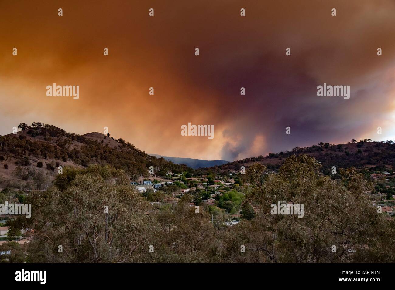 Orroral Valley, NSW, Buschfeuerstrauch über Theodore, Canberra, ACT. 28/01/20. Canberra-Vorort von Theodore im Vordergrund gesehen. Stockfoto