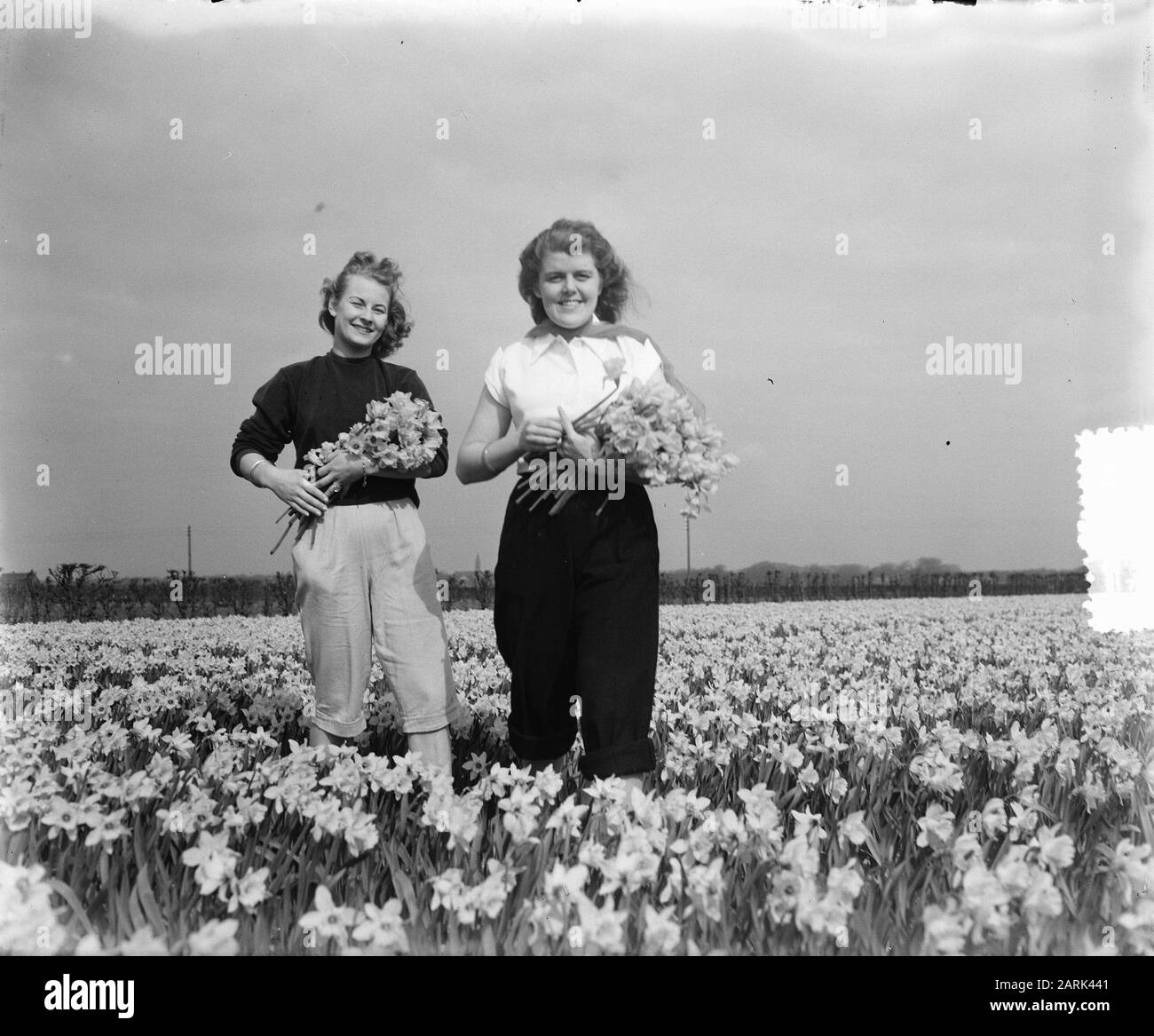 Frühlingsbilder Mädchen auf Daffodil Field Datum: 2. April 1953 Schlagwörter: Mädchen, Frühlingsbilder Personenname: Narzissen Stockfoto