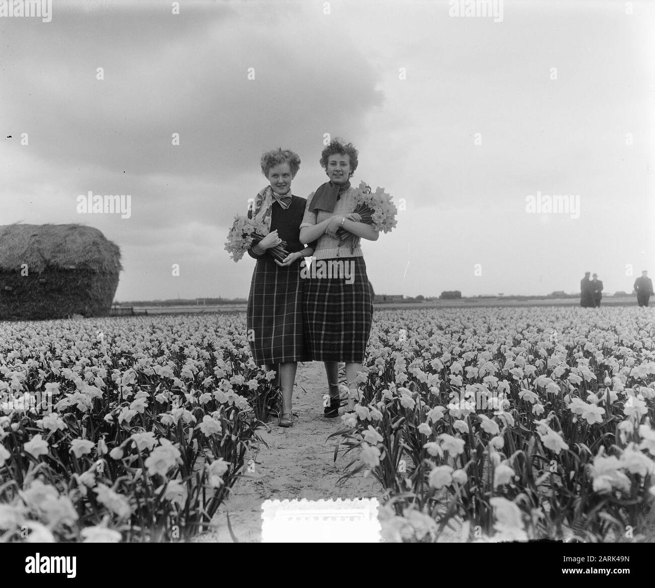 Frühlingsbilder Mädchen auf Daffodil Field Datum: 2. April 1953 Schlagwörter: Mädchen, Frühlingsbilder Personenname: Narzissen Stockfoto