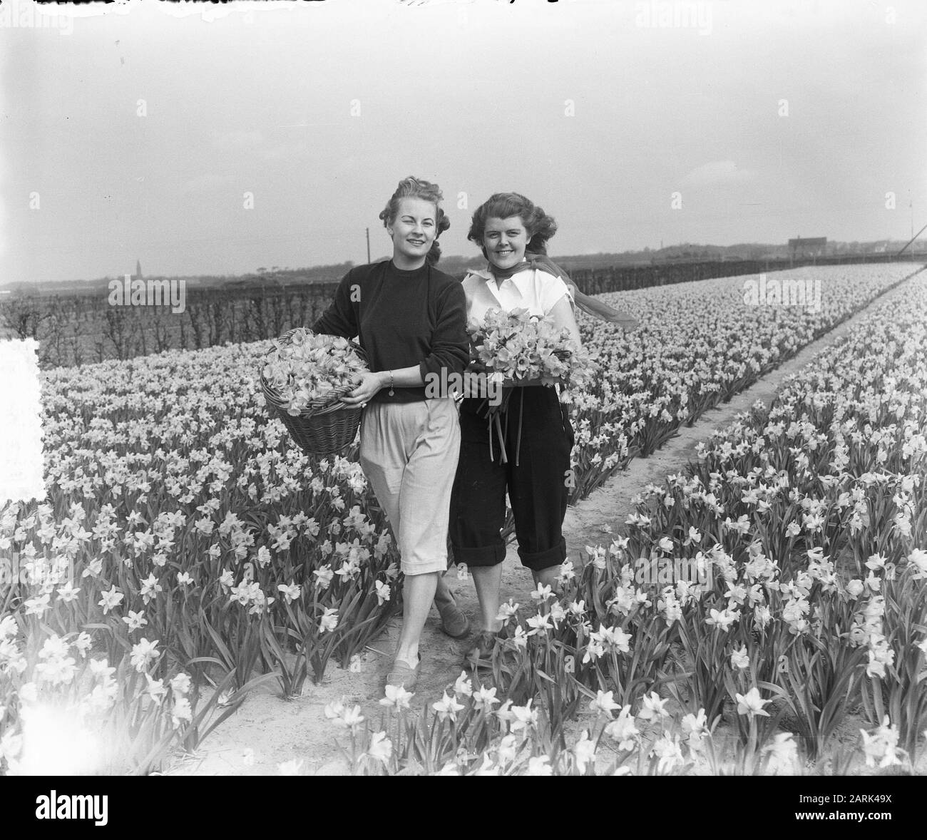 Frühlingsbilder Mädchen auf Daffodil Field Datum: 2. April 1953 Schlagwörter: Mädchen, Frühlingsbilder Personenname: Narzissen Stockfoto