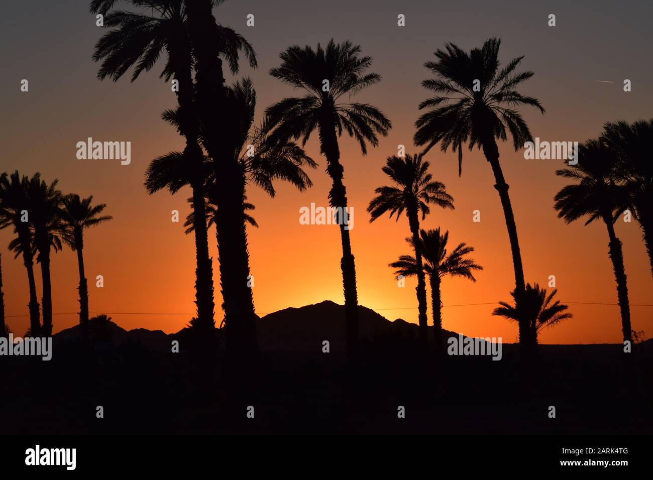 Palm Tress bei Sonnenuntergang über den Bergen. Stockfoto