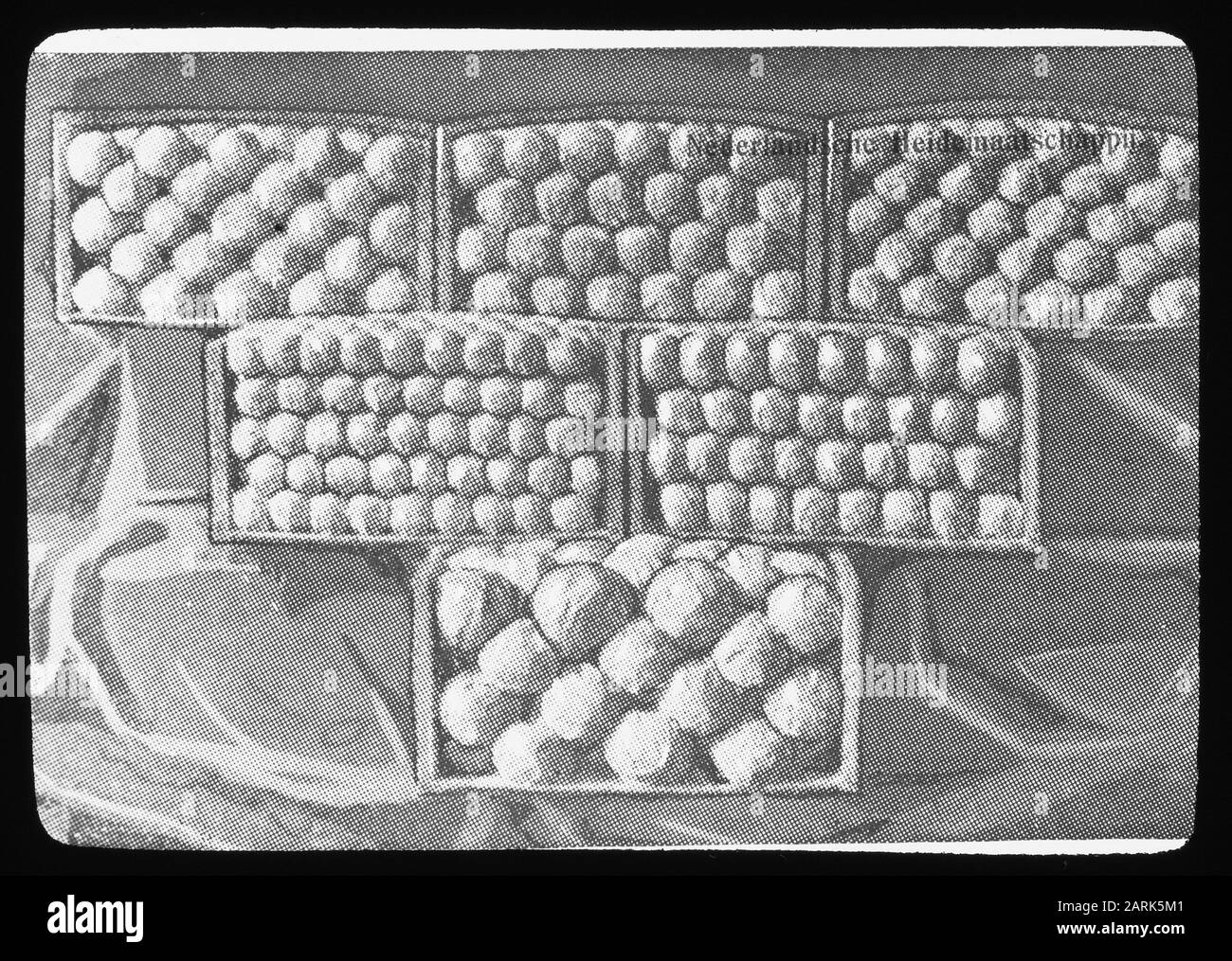 Verpacktes Obst Datum: Undatierte Stichwörter: Obstanbau Stockfoto