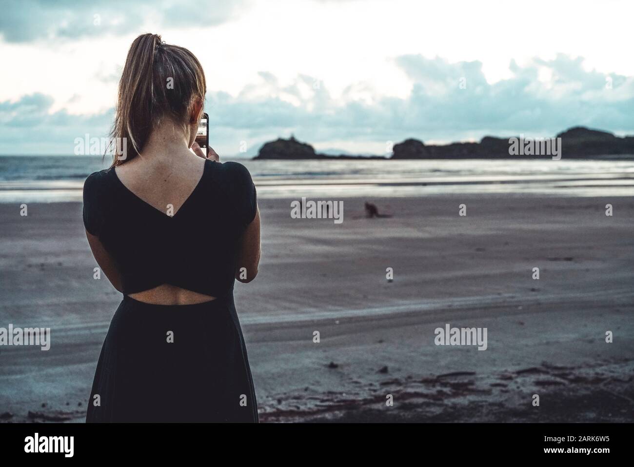Rückansicht der jungen Frau, die Fotos von Kängurus am Strand fotografiert Stockfoto