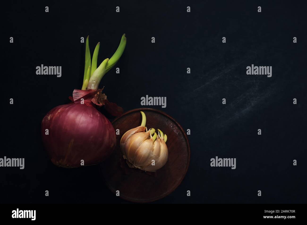 Rote Zwiebel und Knoblauch auf schwarzem Boden sprießen Stockfoto