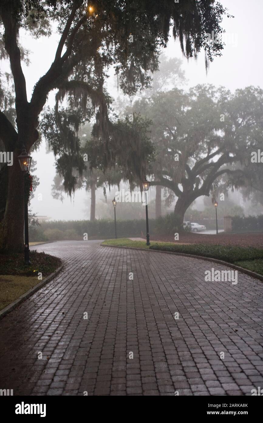 Lampe beleuchtet einen Park-Fußweg an einem regnerischen Tag Stockfoto