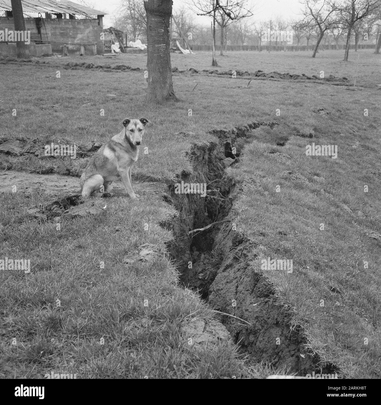 Erdrutsche in der belgischen Gemeinde Zichen-Zussen-Bolder, Datum der Absenkung: 5. April 1966 Stichwörter: Erstickung, Gemeinden Stockfoto