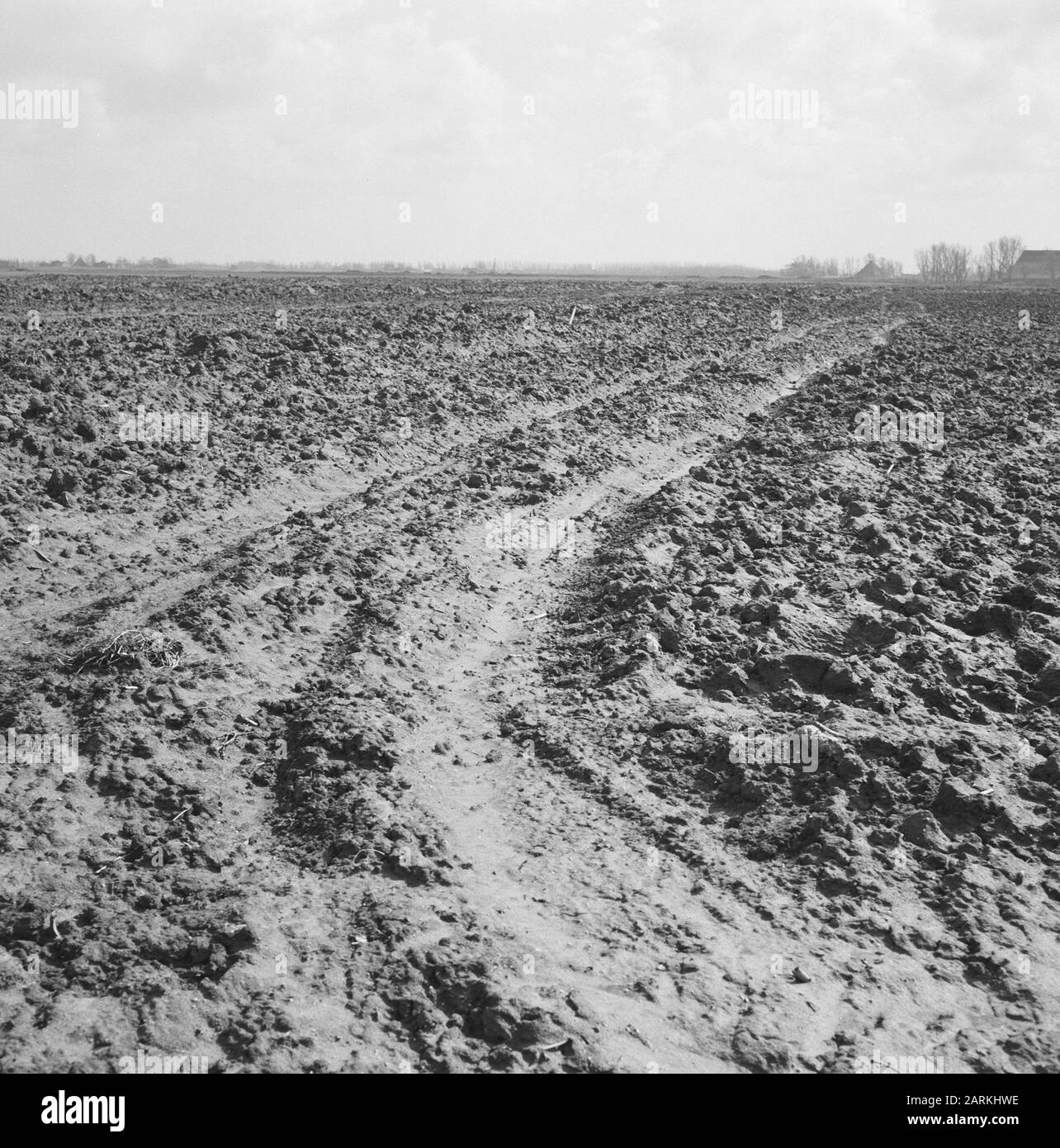 Aufgenommen von der Provinzstraße almelo-vriezenveen Datum: April 1962 Ort: Nieuwepolder Schlüsselwörter: Rasieren, Nivellieren, Bodenbearbeitung, Bergbau, Übersichten, Bodenkonsolidierung Stockfoto