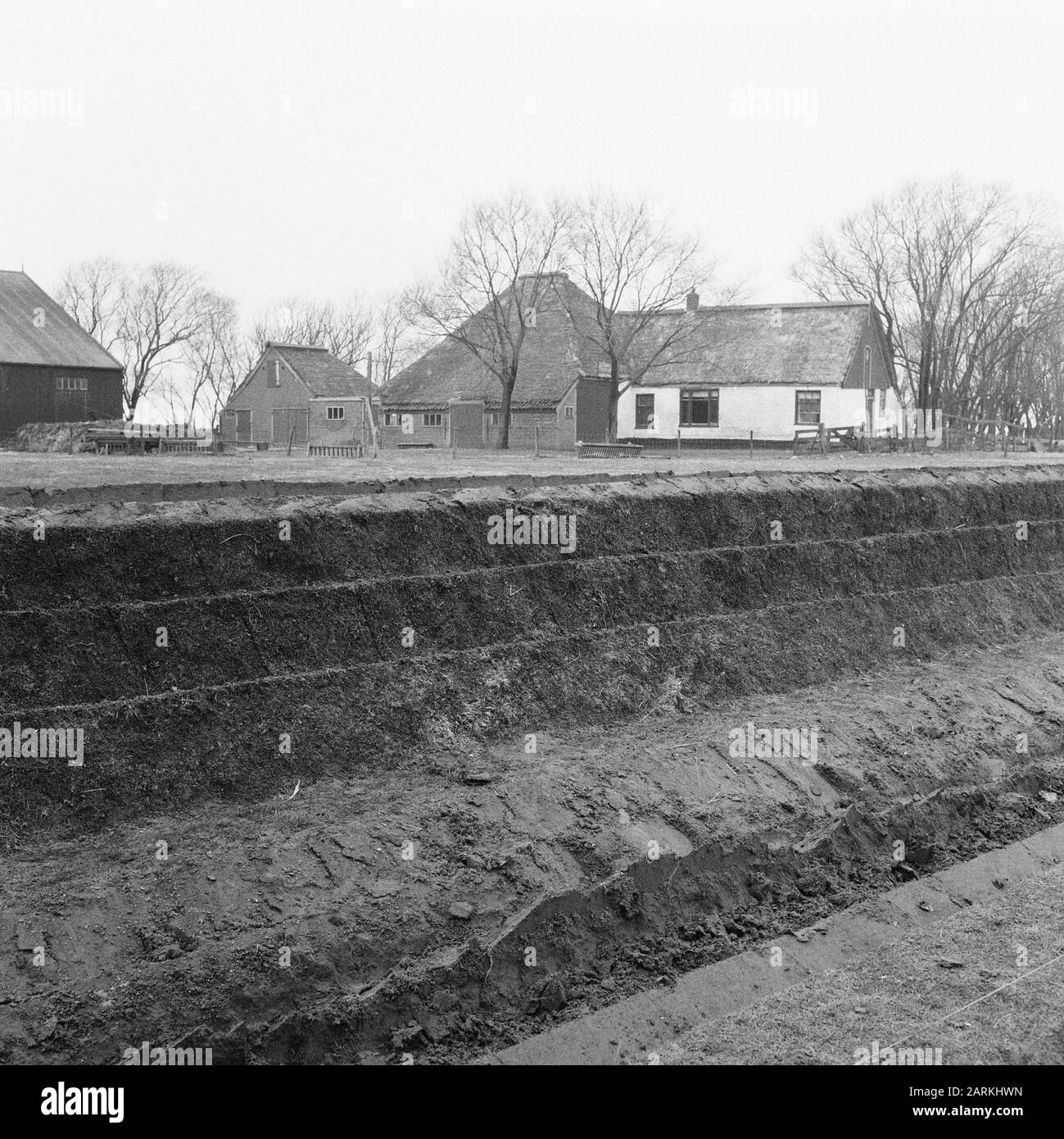 Aufgenommen von der Provinzstraße almelo-vriezenveen Datum: April 1962 Ort: Noord-Holland, Texel Schlüsselwörter: Scones, Farmen, Nivellierung, Bodenbearbeitung, Bergbau, Bergbau usw. Grundstücke, Gartenmauern Stockfoto