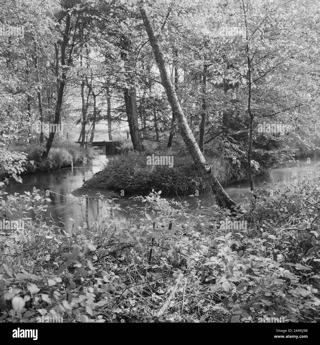 Grachten graben und verbessern, Brücken bauen, Grundstücke, Alter Zustand, oostrumse Bach, Schaftreibdatum: Undatierter Standort: Limburger, Wansum Schlüsselwörter: Bau von Brücken, Graben und Verbesserung von Kanälen, Alter Zustand, Grundstücke persönlicher Name: Oostrumse Bach, Schafdrift Stockfoto