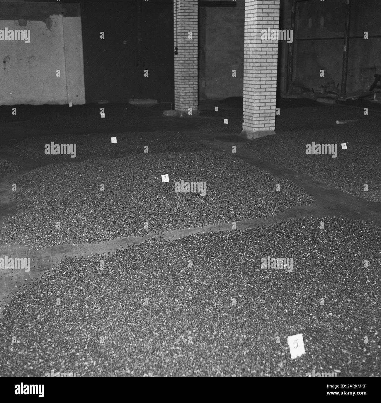 Sammeln von Eicheln und Buche Datum: Dezember 1958 Ort: Arnhem Schlüsselwörter: Buche Nüsse, Eiche Stockfoto