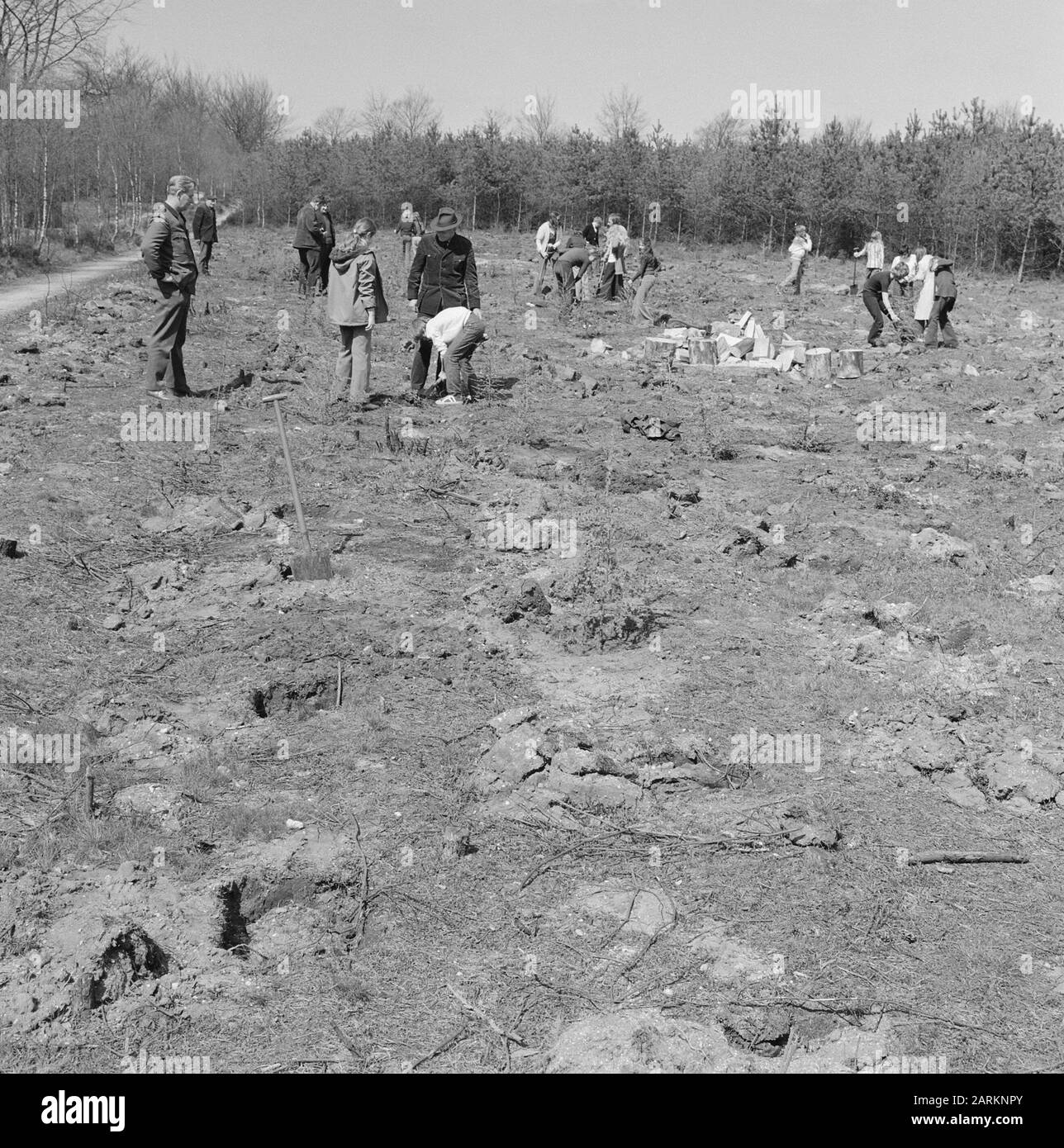 Kinder, Pflanzen, Bäume Datum: Undatierte Stichwörter: Bäume, Kinder, Pflanzen Stockfoto