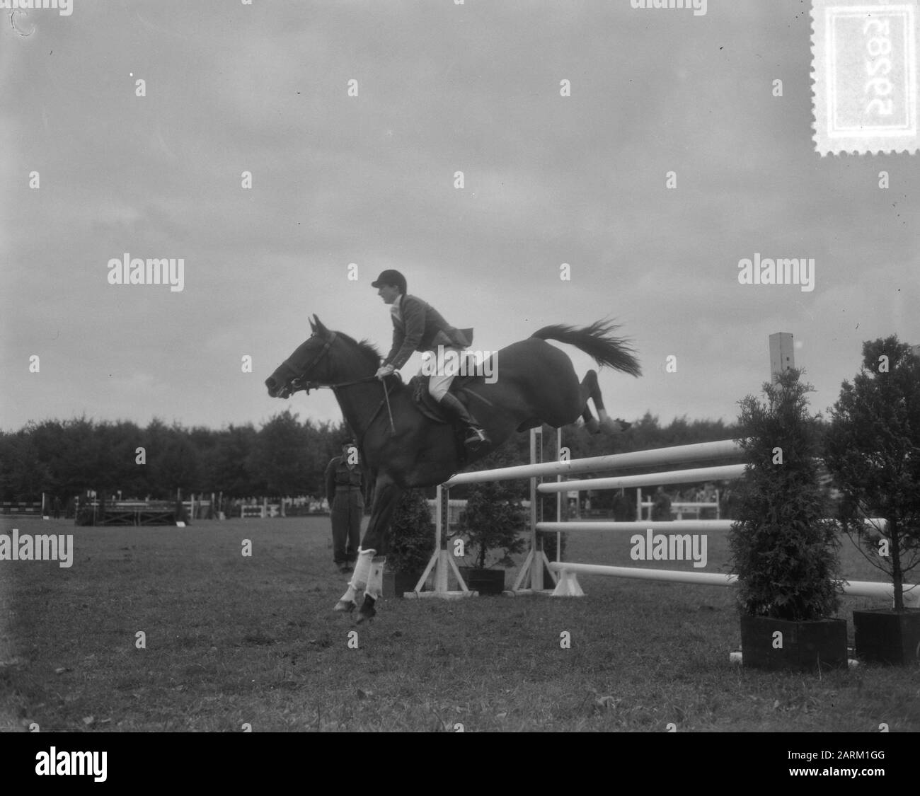 Internationaler Wettbewerb Hippique Rotterdam, N. Perone Italien Datum: 3. September 1953 Standort: Italien, Rotterdam-Perone Stockfoto