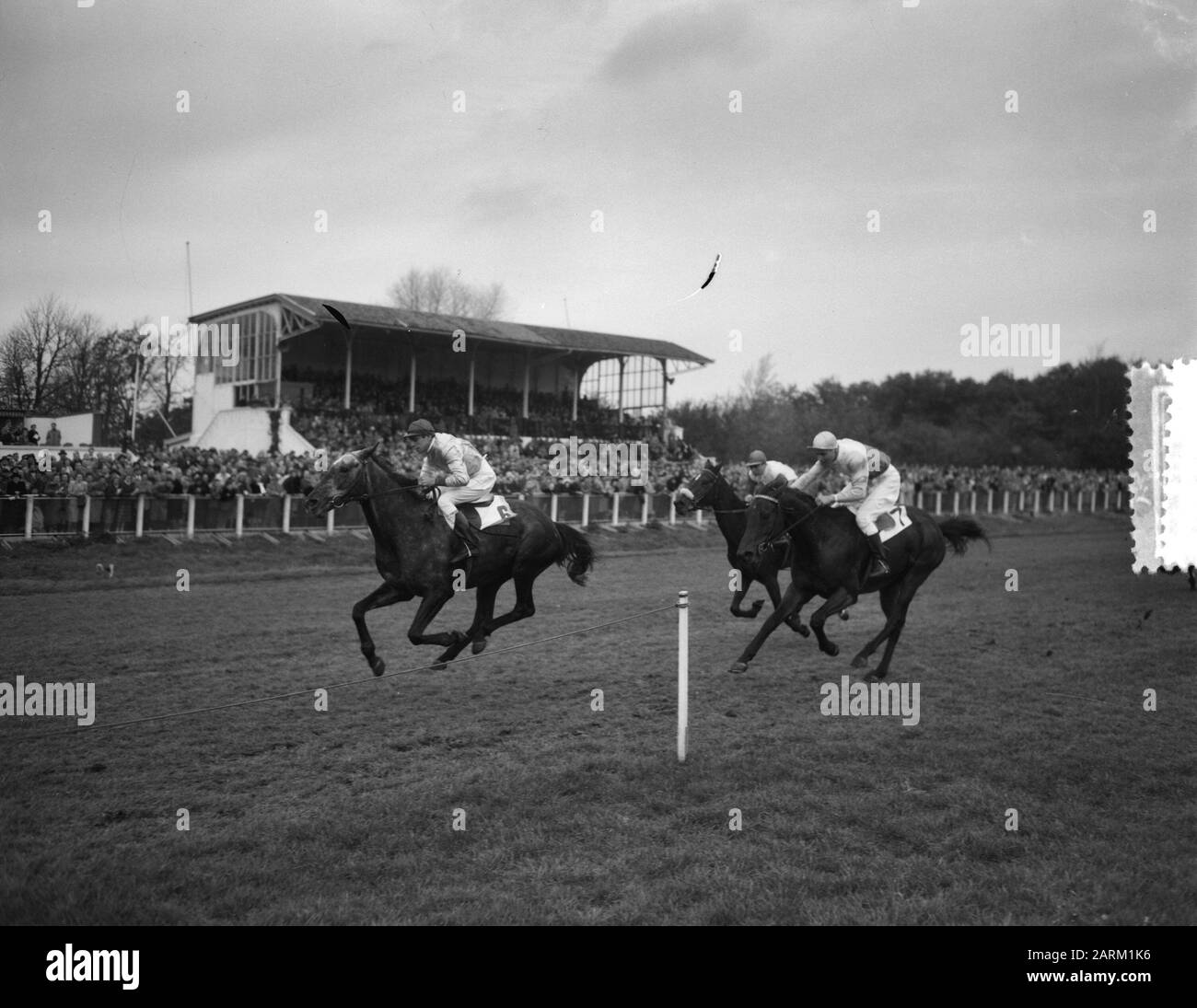 Duempt Championship Stues Datum: 1. November 1953 Schlüsselwörter: CHAMPONIES, Stues Institution Name: Dünen Stockfoto