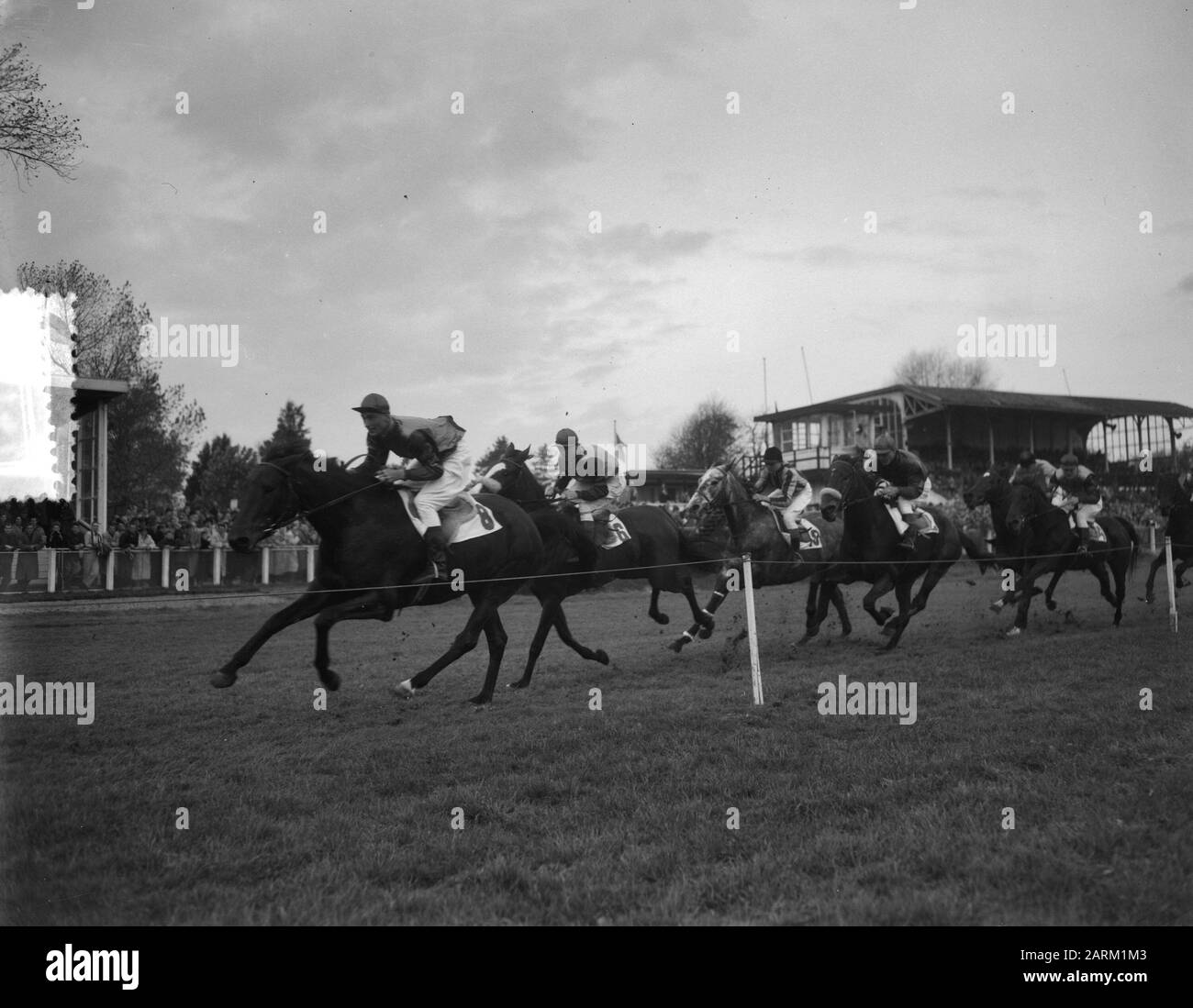 Duempt Championship Stues Datum: 1. November 1953 Schlüsselwörter: CHAMPONIES, Stues Institution Name: Dünen Stockfoto
