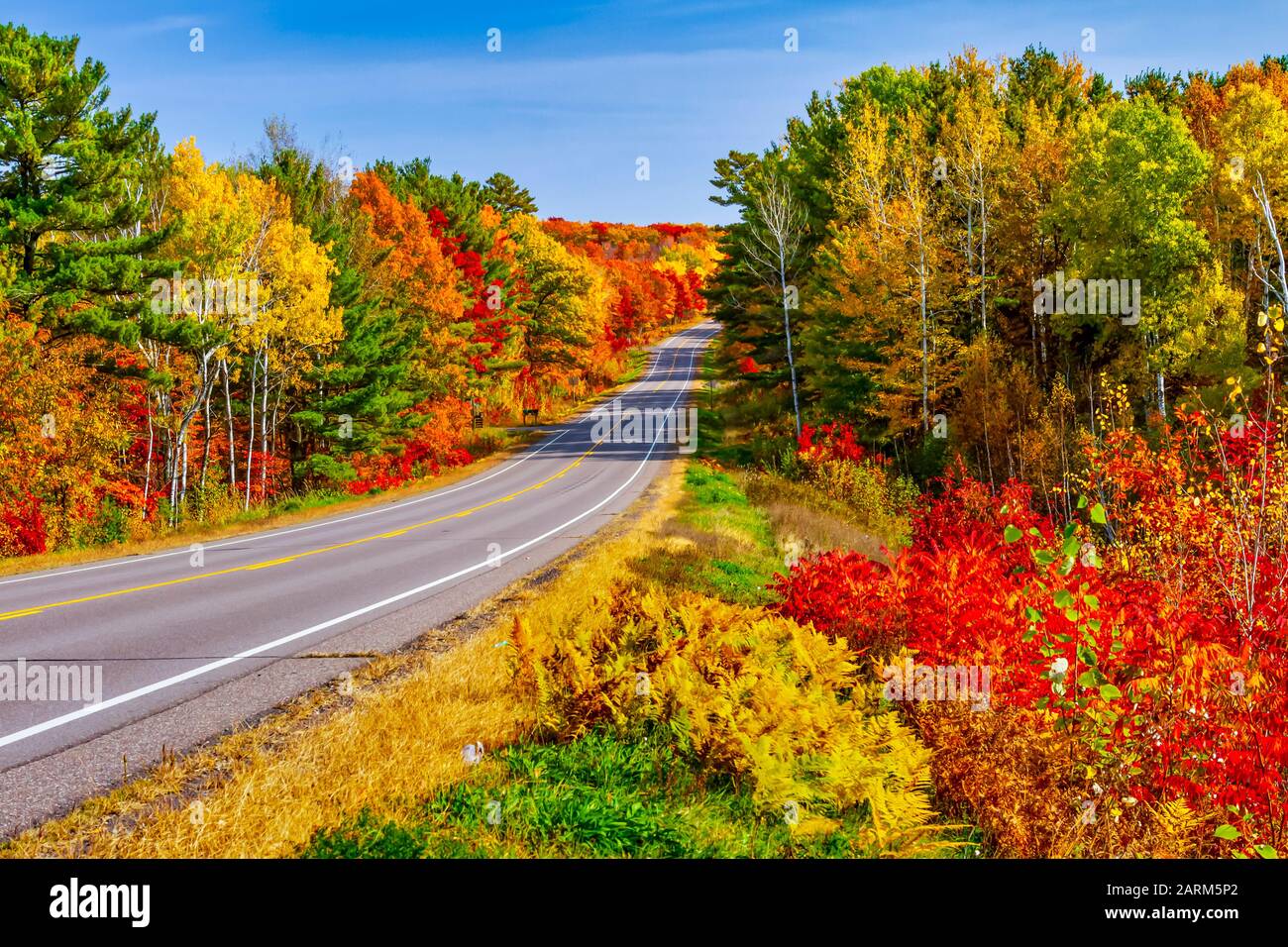 Brillante Herbstlaubenfarbe in den Bäumen und Wälder in der Nähe von Minoqua, Wisconsin, USA Stockfoto
