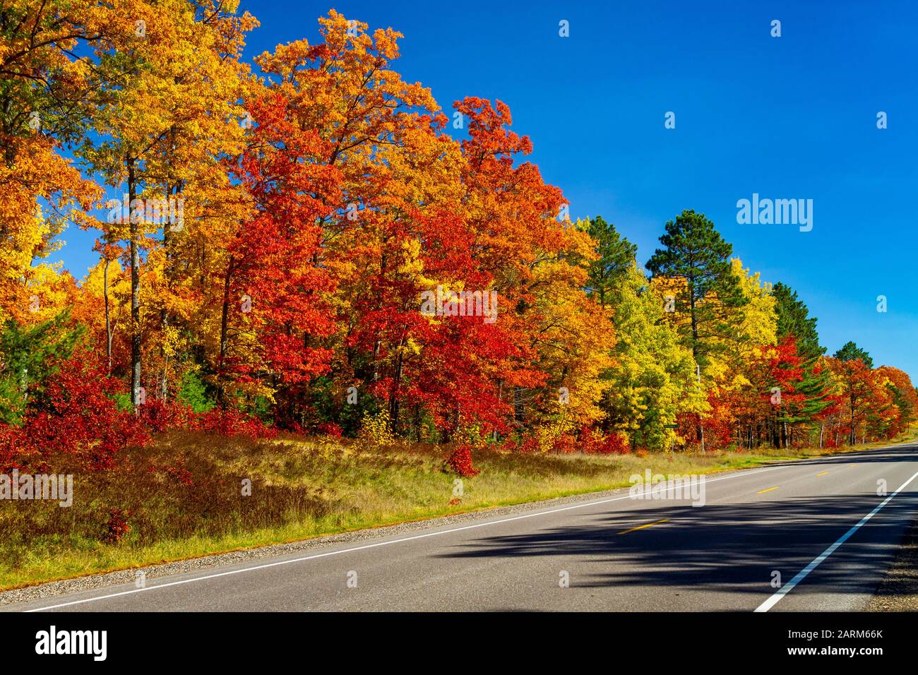 Brillante Herbstlaubenfarbe in den Bäumen und Wälder in der Nähe von Minoqua, Wisconsin, USA Stockfoto