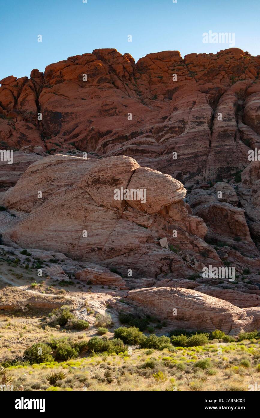 Die Calico Hills im Red Rock Canyon National Conservation Area in der Nähe von Las Vegas, Nevada, Vereinigte Staaten von Amerika. Stockfoto