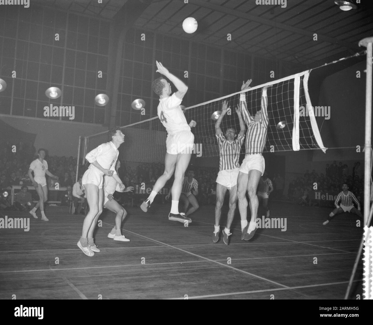 Europa-Cup Volleyball MVC-Reva gegen Rapid Bucarest Datum: 19. März 1961 Schlagwörter: VOLYBALL Personalname: Europa-Cup-Institution Name: MVC-Reva, Rapid Bukarest Stockfoto