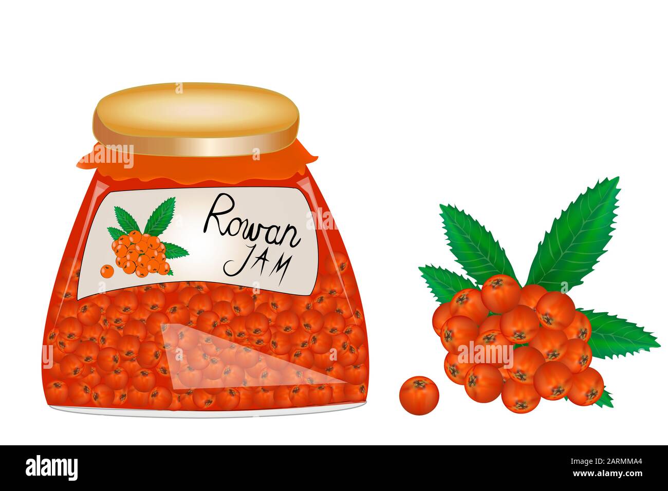 Glasbecher mit Aschejam isoliert auf weißem Hintergrund. Rowan mit Blättern. Frische Rowbeeren. Etikett für Stau. Für Marke, Cover.Vector Stock Vektor