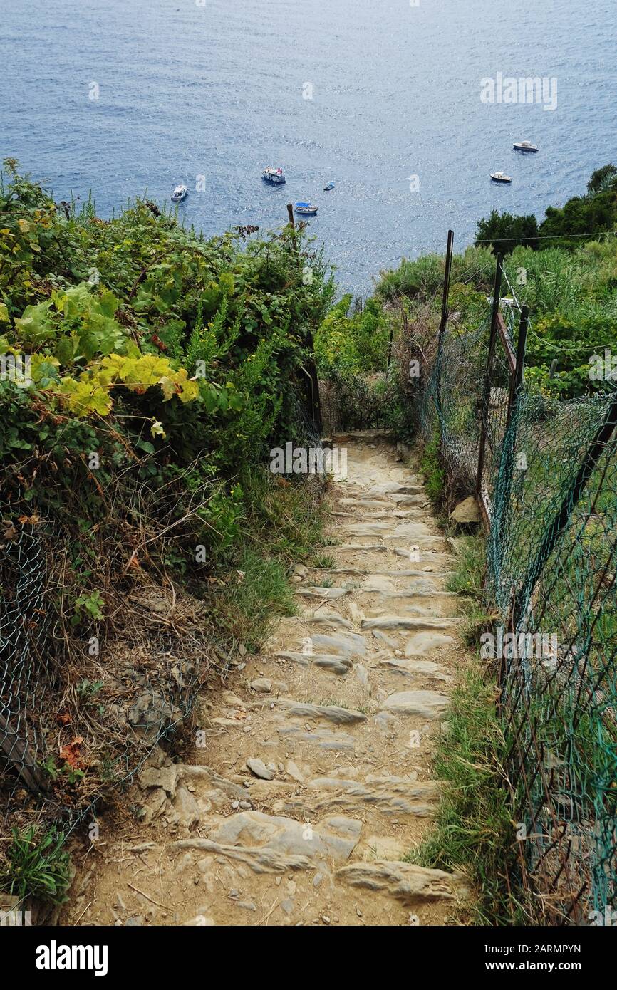 Ein steil abfallendes Wandergebiet im Nationalpark Cinque Terre. Italienische Riviera und UNESCO-Weltkulturerbe am Mittelmeer Stockfoto