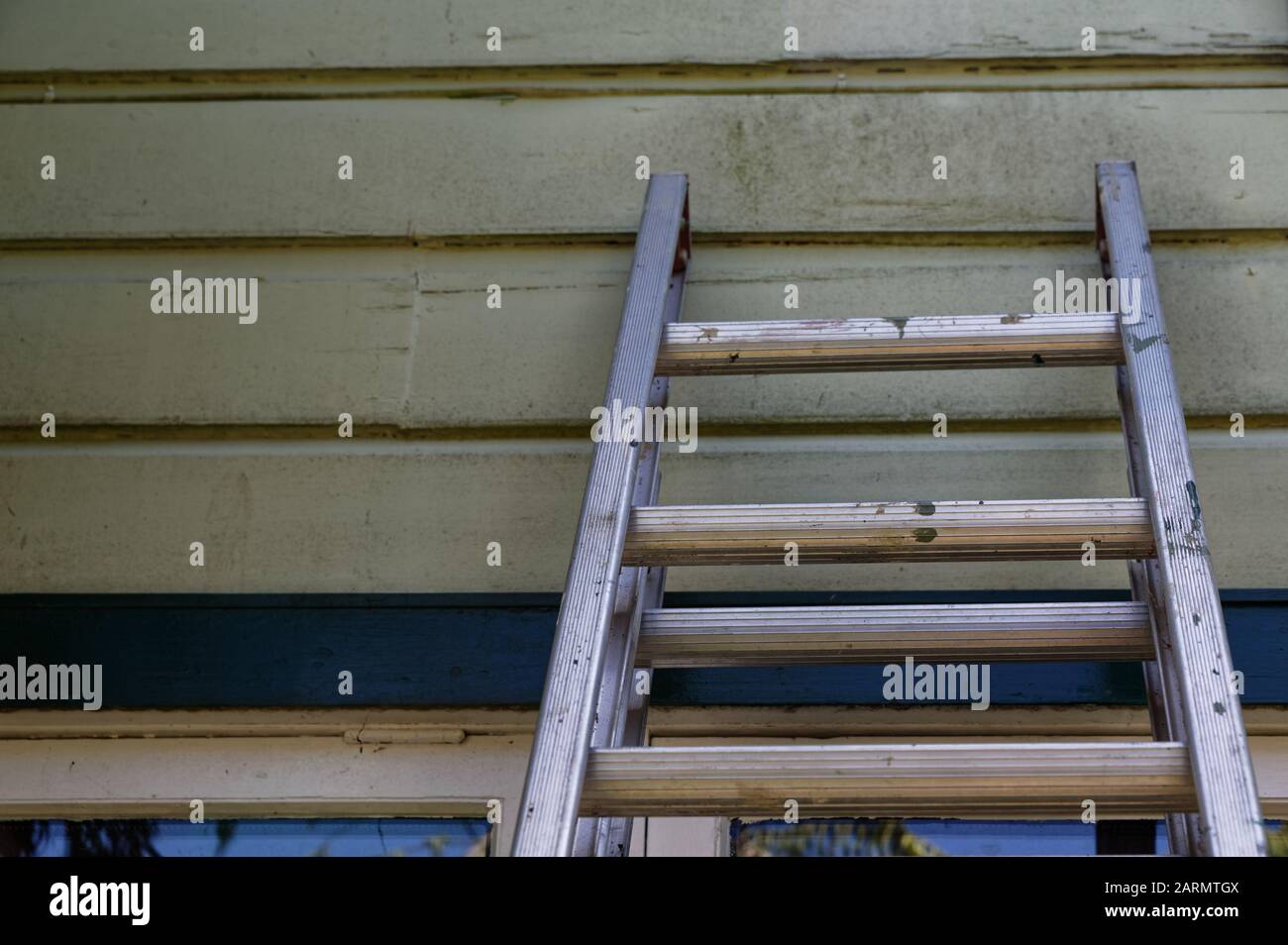 Ein grün lackiertes Holzhaus hat eine Leiter, die sich daran anlehnt Stockfoto