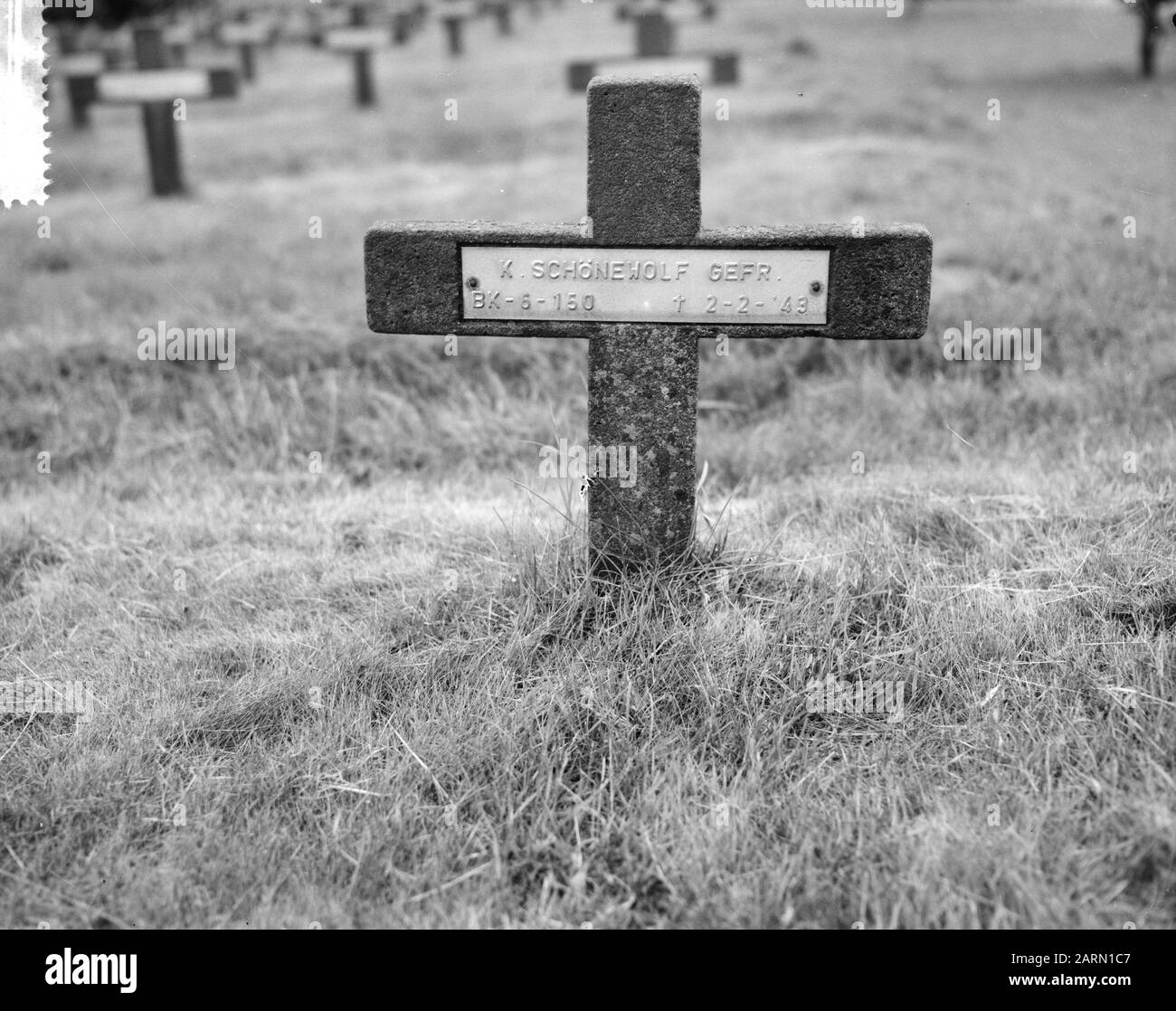 Deutscher Friedhof Ysselsteyn in Limburg-Datum: 18. Juni 1963 Ort: Deutschland, Limburg-Ysselsteyn Schlüsselwörter: Friedhöfe, Kriegsgräberstätten, Zweiter Weltkrieg Stockfoto