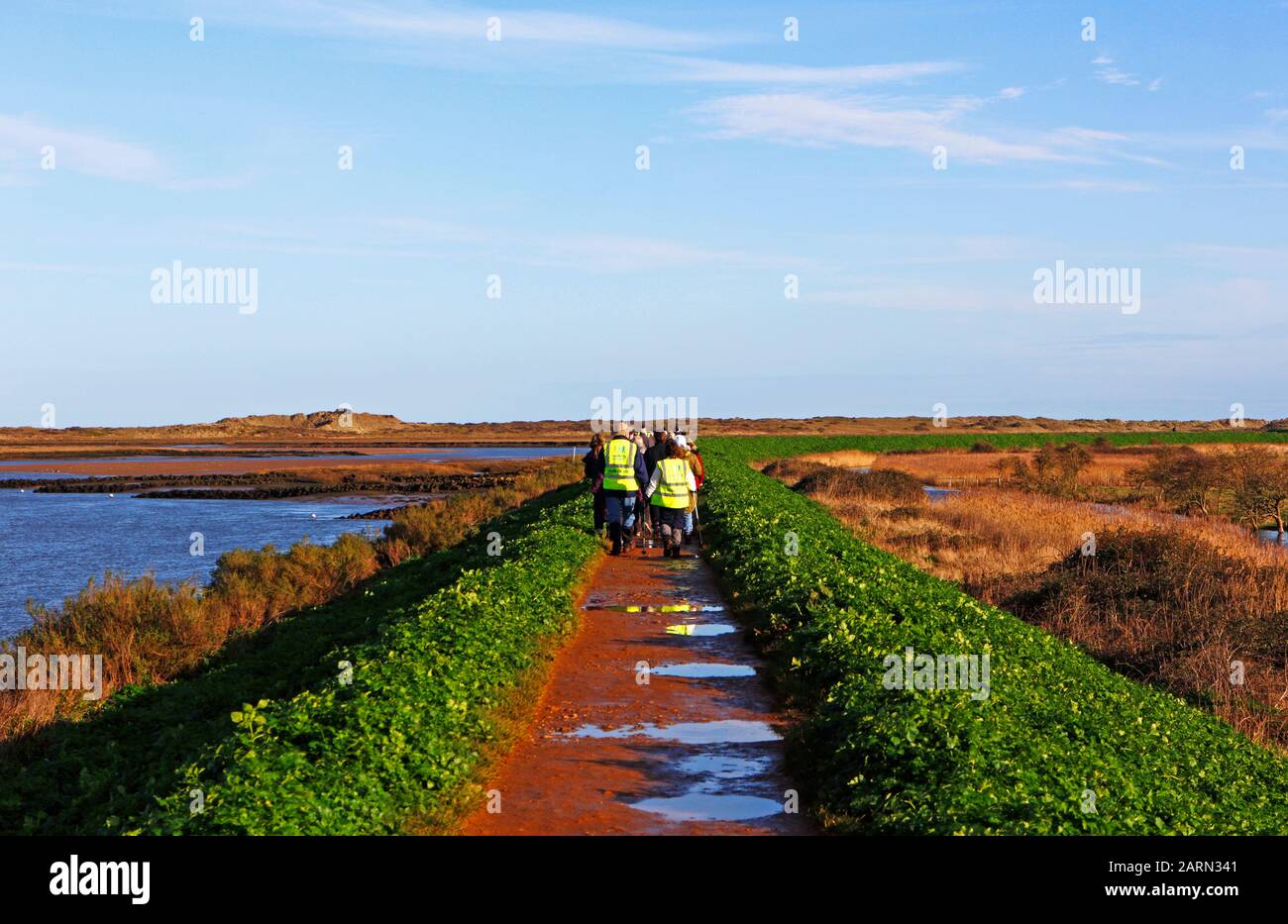 Eine organisierte Gruppe von Wanderern auf dem Norfolk Coast Path in North Norfolk in Burnham Overy Staithe, Norfolk, England, Großbritannien, Europa. Stockfoto