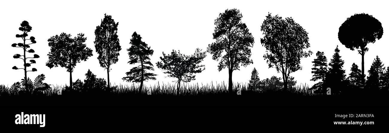 Silhouettenplakat für Waldbäume. Bäume Silhouette auf weißem Hintergrund, Vektorgrafiken Stock Vektor