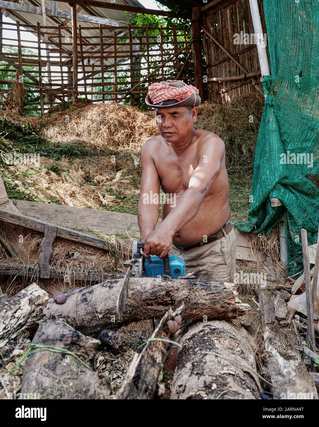 Kambodscha ist eines der am meisten mit Wald ausgestatteten Länder der Welt. Nahaufnahme des ländlichen Dorfmannes mithilfe von Kettensäge auf Holzstämmen. Stockfoto