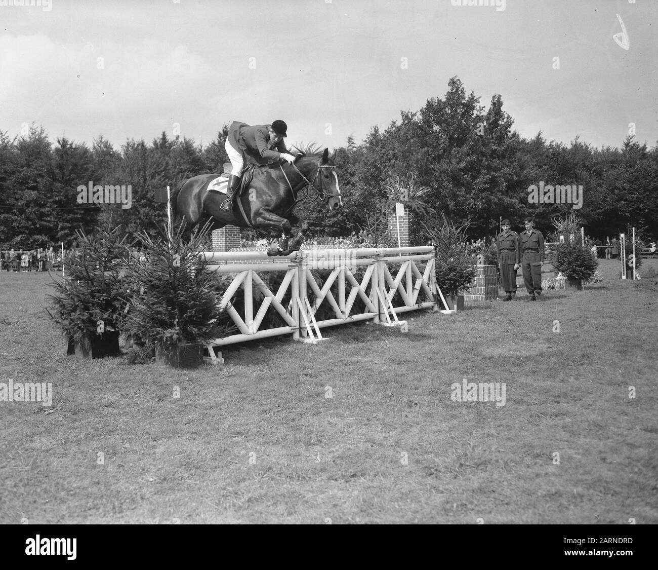 Internationaler Wettbewerb Hippique CHIO Rotterdam. Frau M. Koster (Niederlande) über Lady Cocktail Datum: 29. August 1956 Standort: Rotterdam, Zuid-Holland-Institution Name: CHIO Stockfoto
