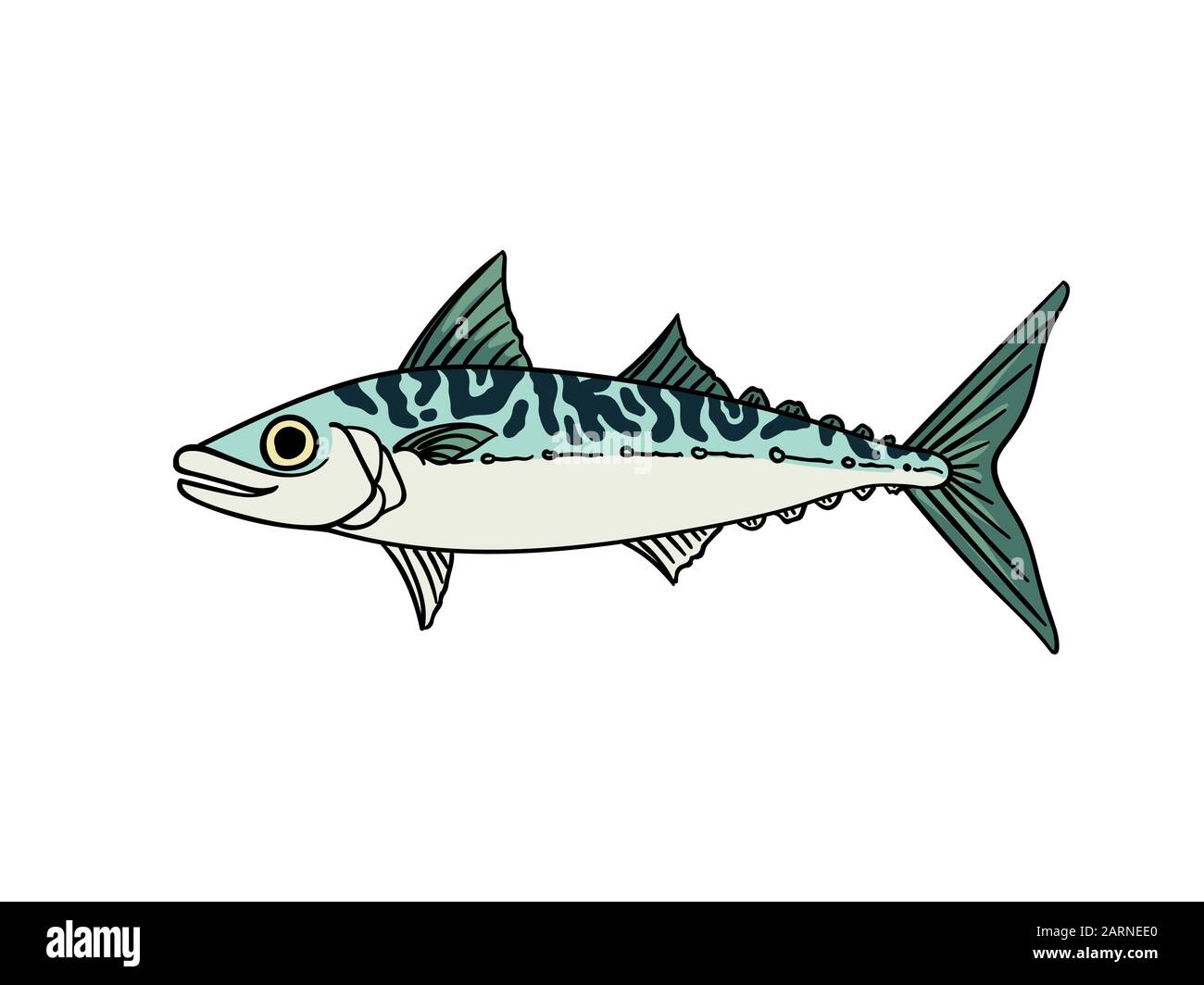 Makrele fisch Farbe Vintage Retro Stil auf weißem Vektor-illustration isoliert Stock Vektor