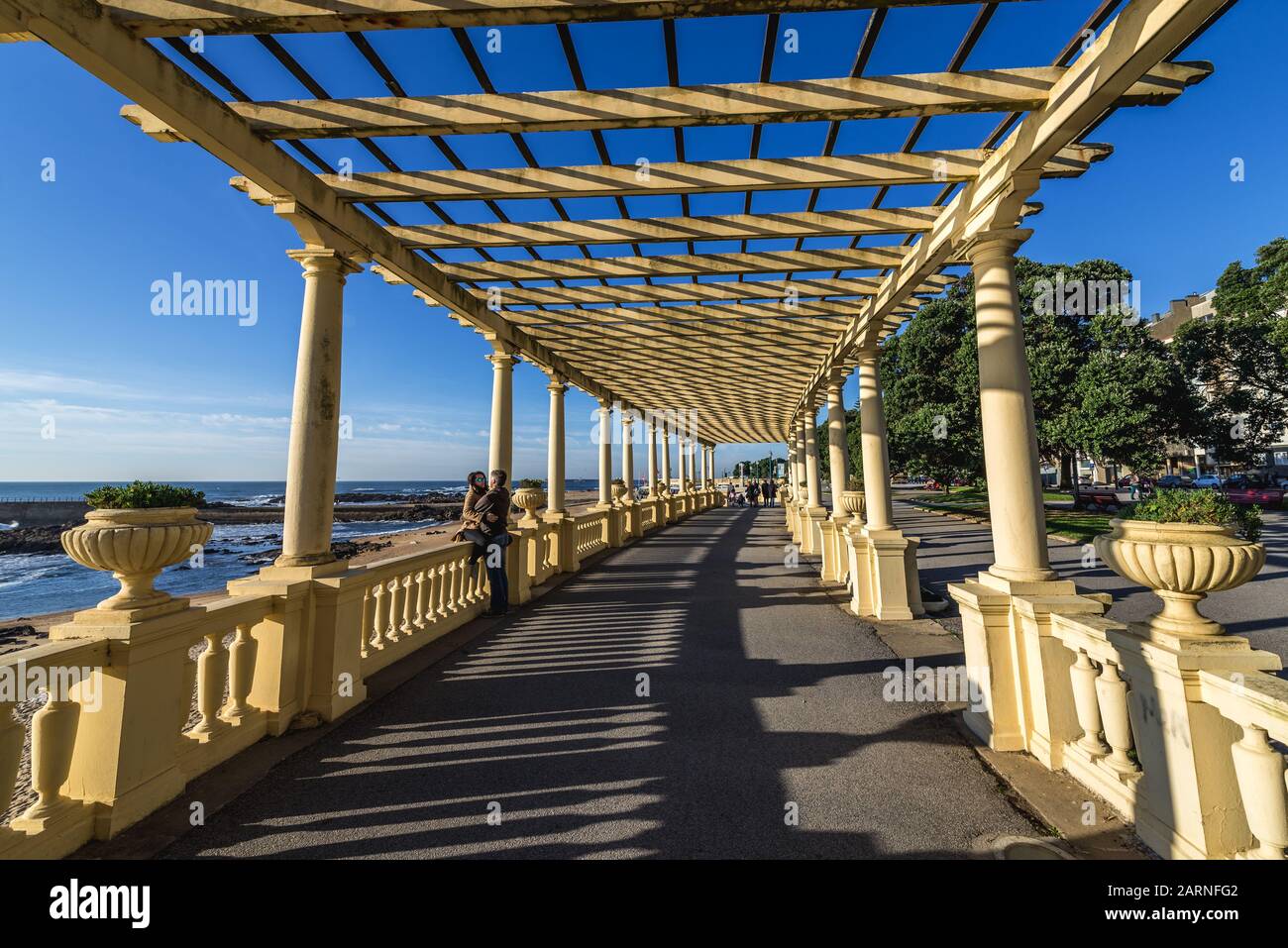 Pergola neben Brasilien Avenue in Nevogilde Zivilstadt Pfarrei von Porto, die zweitgrößte Stadt in Portugal Stockfoto