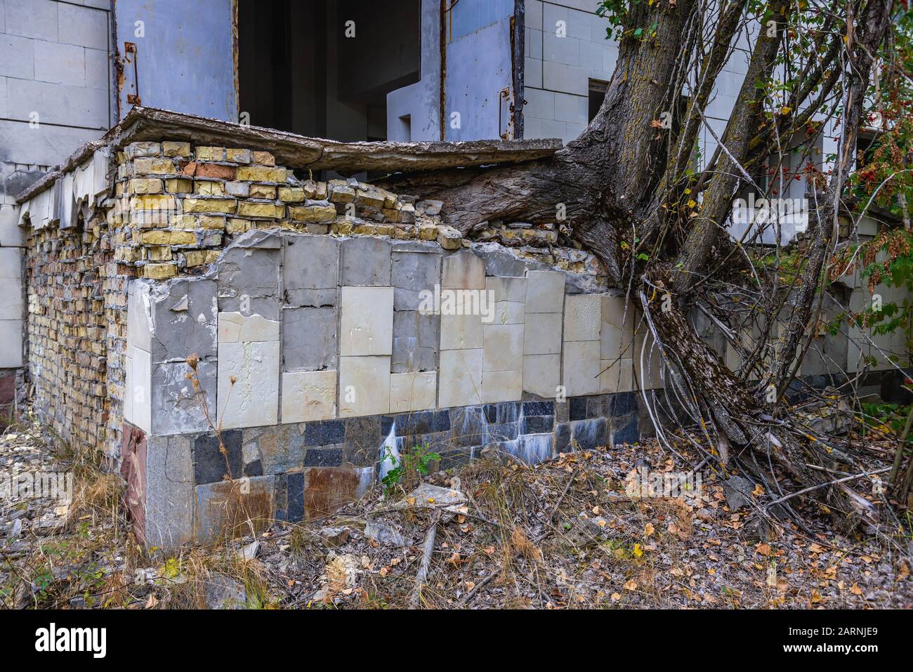 Baum vor Palast der Kultur Energetik in Pripyat ghost Stadt Chernobyl Nuclear Power Plant Zone der Entfremdung in der Ukraine Stockfoto